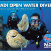 PADI Openwater Course Logo