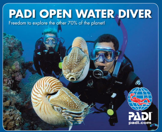 PADI Openwater Course Logo