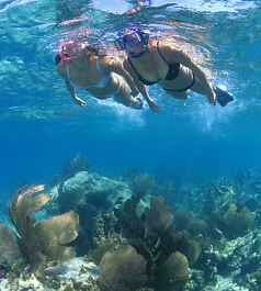 snorkeler